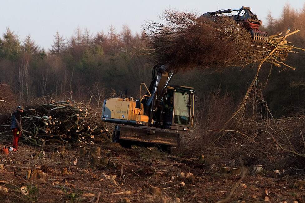 Broed- en verblijfsgebied voor vogels en insecten verdwijnt. 